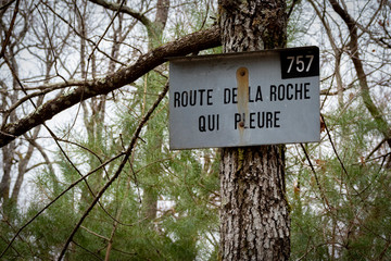 Forêt de Fontainebleau