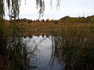 lake in autumn