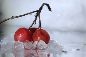 cherries in snow
