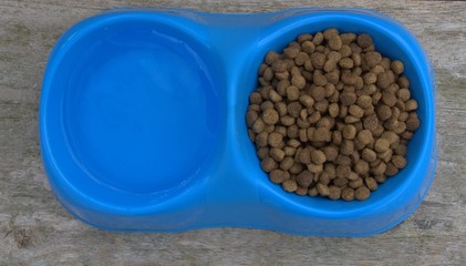 écuelle de croquettes pour chat