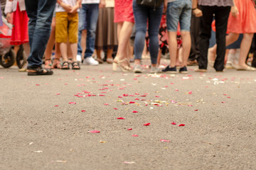  many petals of flowers on the road on which people go