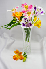 bouquet of flowers of Alstroemeria