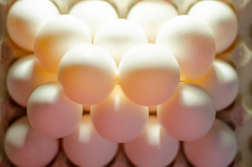  chicken eggs standing on the top of the mountain from other eggs with a backlight