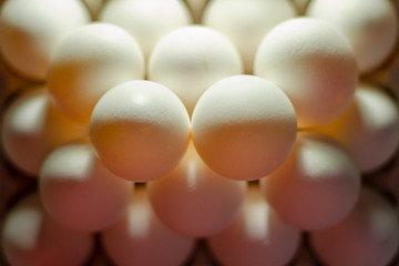  chicken eggs standing on the top of the mountain from other eggs with a backlight