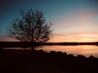 Fototapeta na wymiar Morning in Helsinki, Finland - Stunning view from Arabianranta district and park