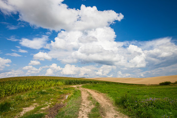 Fototapeta na wymiar Empty countryside road through fields with wheat and green grass