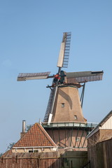 Windmühle auf Texel