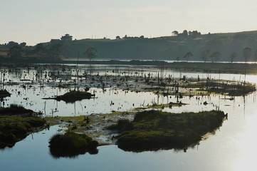 Wetlands of La Rabia, Cantabria