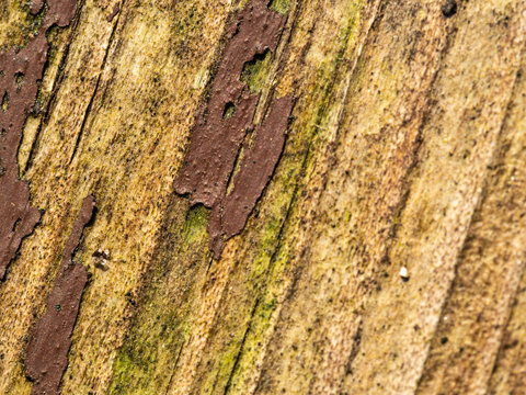 Hintergrund aus Holz und brechendem Lack
