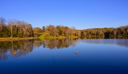 Blue Waters of Lake Fairfax