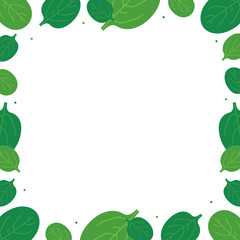 Vector cartoon style card template, frame, border, background with spinach leaves.