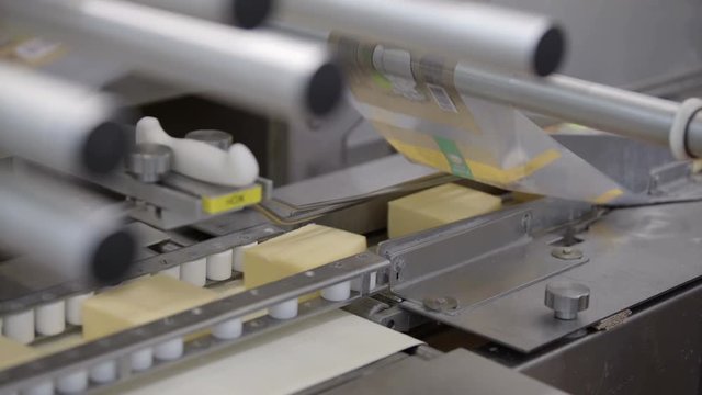 Conveyor line for cheese packaging process. Close up of cheese processing at food factory