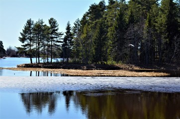 Bank of the Volga River