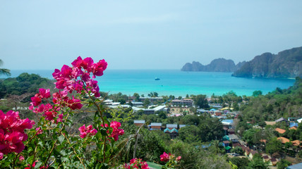 Beautiful view of the sea, tropical plants and rocks and mountains. Exotic pink flowers. Green island in the ocean, Phi-Phi island. Thailand.
