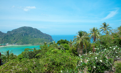 Fototapeta na wymiar Beautiful view of the island with thin isthmus and two bays. Green mountains and tropic plants. Tropical island in the ocean, Phi-Phi island. Thailand.