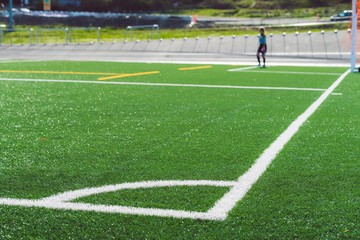 A goalkeeper in a soccer game