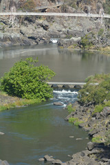 Fototapeta premium Alexandra Suspension bridge Launceston Tasmania Australia