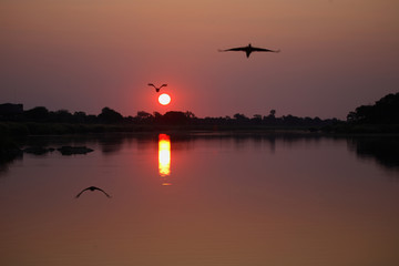 Sonnenuntergang Sabie River/ Sundown Sabie River /