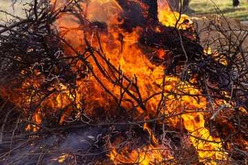 Flaming fire. Burning tree branches. Pagan rite dedicated to the arrival of spring. Big bonfire on Shrovetide. 