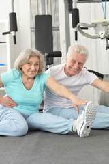 Portrait of active smiling senior couple exercising