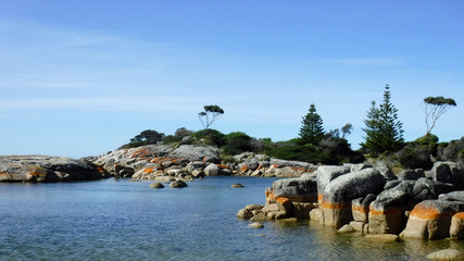Fototapeta na wymiar Landscape of Bay of FiresTasmania Australia