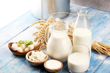 milk products. tasty healthy dairy products on a table. sour cream in a white bowl, cottage cheese bowl, cream in a a bank and milk jar, glass bottle and in a glass