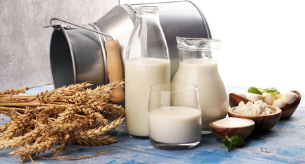milk products. tasty healthy dairy products on a table. sour cream in a white bowl, cottage cheese...