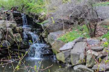Fototapeta na wymiar Waterfall in Central Park 
