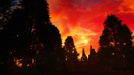 concept art of creepy forest with shadow of trees during epic sunset 