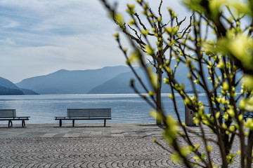 Fototapeta na wymiar Promenade of Ascona in the spring time