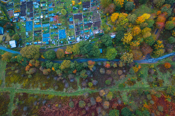 aerial view of vibrant trees in autum in the valleys-South Wales Uk