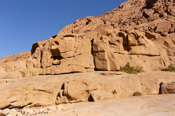 Egypt. Mount Sinai in the morning at sunrise. (Mount Horeb, Gabal Musa, Moses Mount). Pilgrimage place and famous touristic destination.