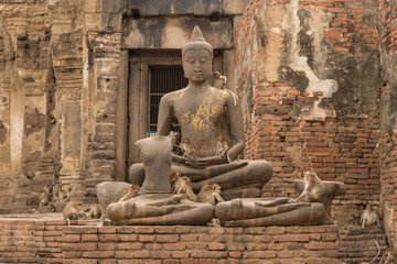 Buddha statue surrounded by any monkeys at Phra Prang Sam Yod temple in Lopburi, Thailand, Asia
