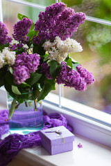 Purple gift box and tender bouquet of beautiful lilac in glass vase near window in daylight.