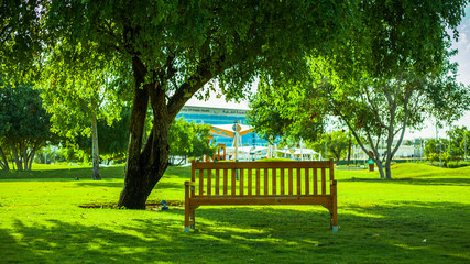 bench in the park