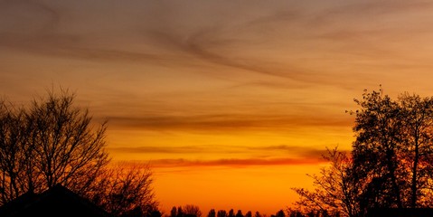 Fototapeta na wymiar Sunset behind silhouetted trees