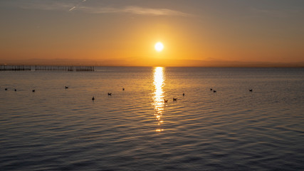 Sunset in Albufera of Valencia with seagulls in the water.