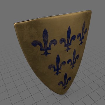Triangular shield