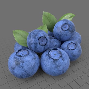 Blueberries