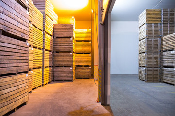 Potatoes storage. Crops warehouse. Dry cool storage. Stacked wooden crates with potatoes.