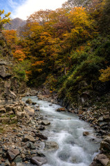 River Running through Fall Colors