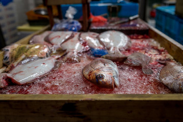 Butchering Fish at the Tsukiji Fish Market