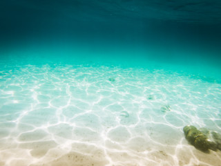 tropical blue ocean underwater background - luxury nature pattern