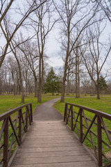 Fototapeta na wymiar walking path through Lenape park in Perkasie Pennsylvania over the creek in early spring with yellow flowers in the grass and the trees just starting to bud