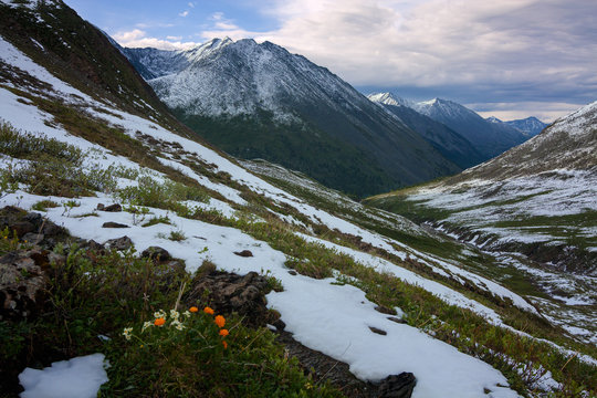 Tunkinskie loaches in the Eastern Sayan Mountains