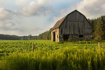 Barn