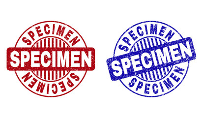 Grunge SPECIMEN round stamp seals isolated on a white background. Round seals with grunge texture in red and blue colors. Vector rubber watermark of SPECIMEN caption inside circle form with stripes.