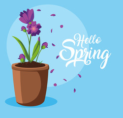 hello spring card with beautiful flowers in pot
