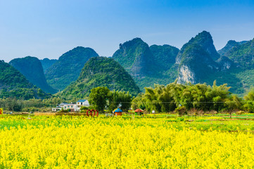 Countryside scenery with blue sky background  