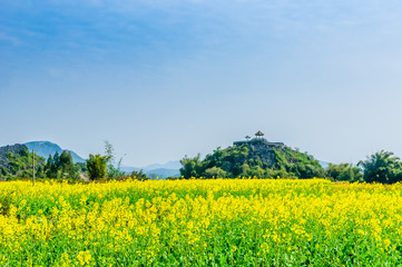 Countryside scenery with blue sky background  